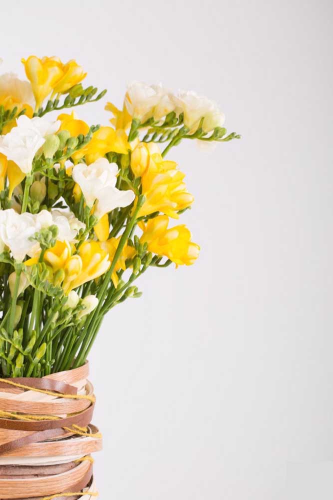 Une composition qui ne déçoit jamais les fleurs blanches aux fleurs jaunes. Dans le cas ici, sont les freesias