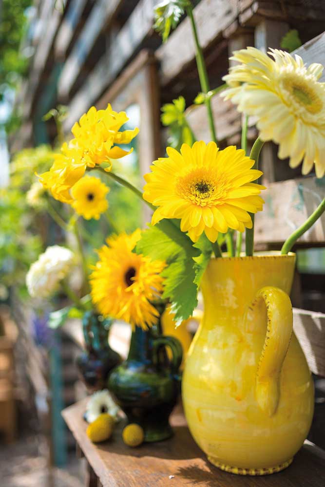 Arrangement sans prétention de gerberas jaunes dans le vase transformé en vase. Un régal pour ceux qui apprécient les décorations rustiques et chaleureuses