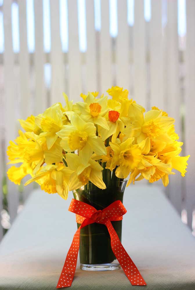 Arrangement lumineux de jonquilles