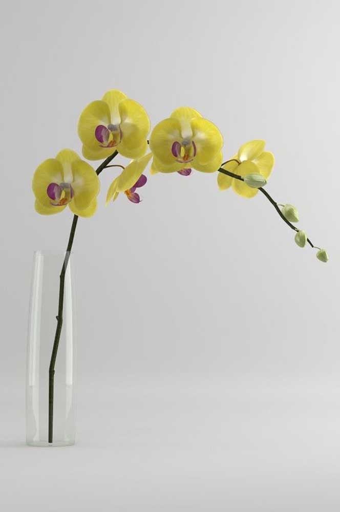 Un brin d'orchidées jaunes en fleurs et un arrangement magnifique et sophistiqué est prêt