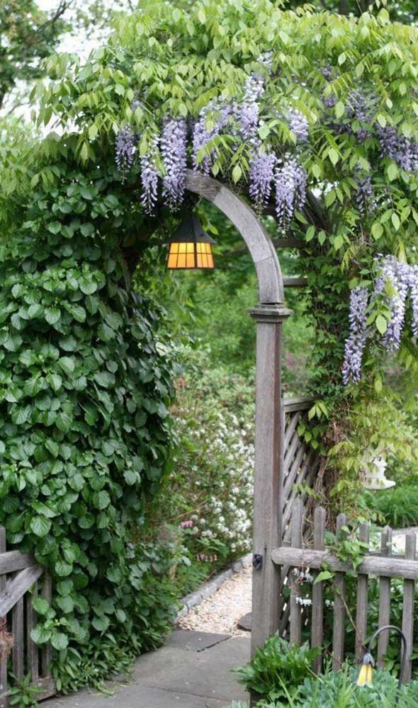 Les glycines lilas embellissent l'entrée de cette tonnelle arquée