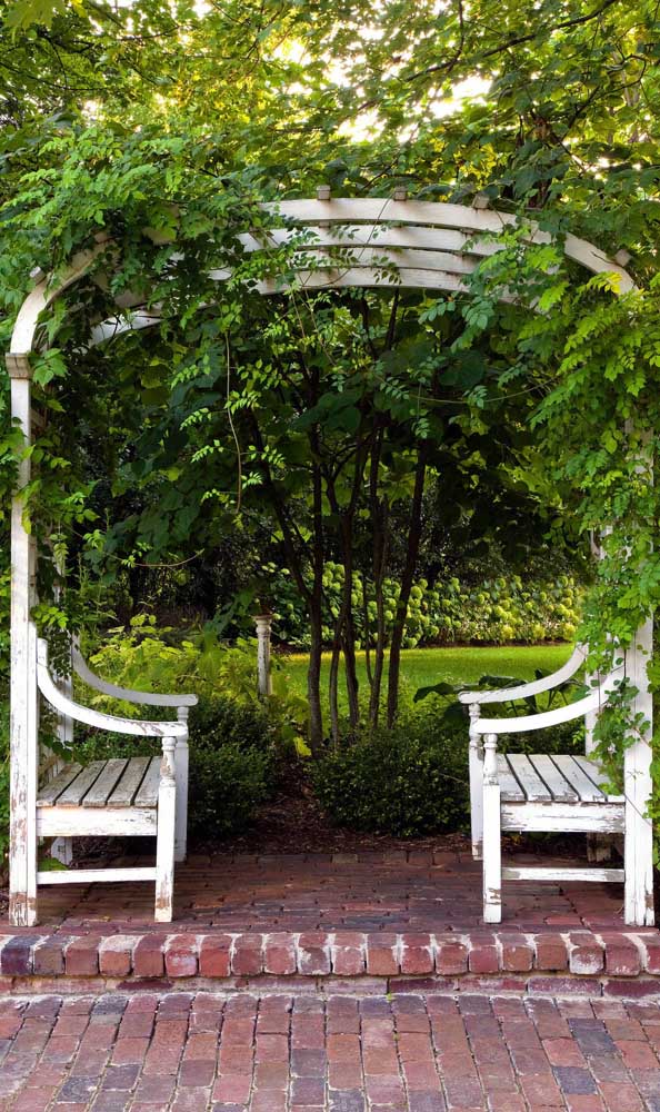 Ici, les bancs s'étendent haut dans l'arche de la tonnelle