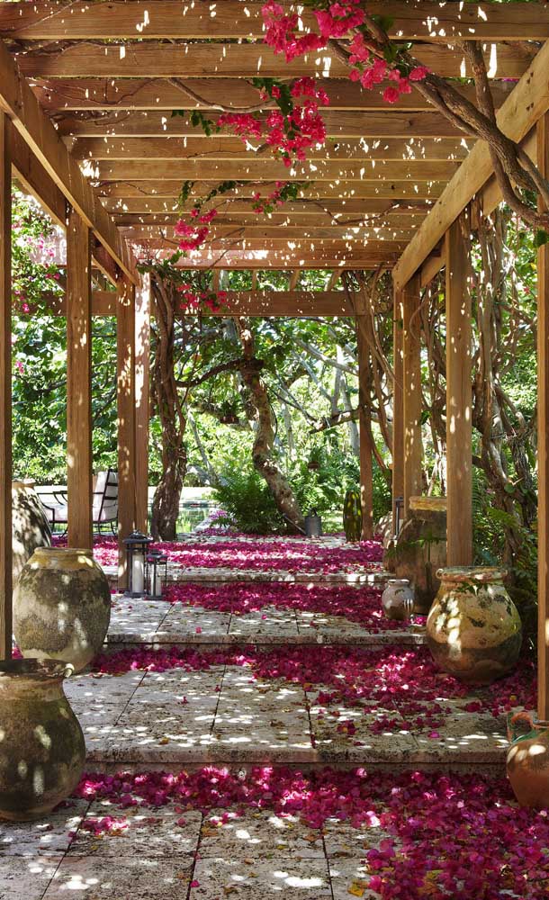 Les fleurs de printemps forment un tapis sous la tonnelle en bois