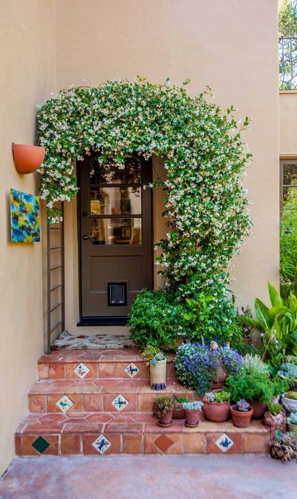 Tonnelle dans la porte d'entrée de la maison bourrée de petites et délicates fleurs blanches