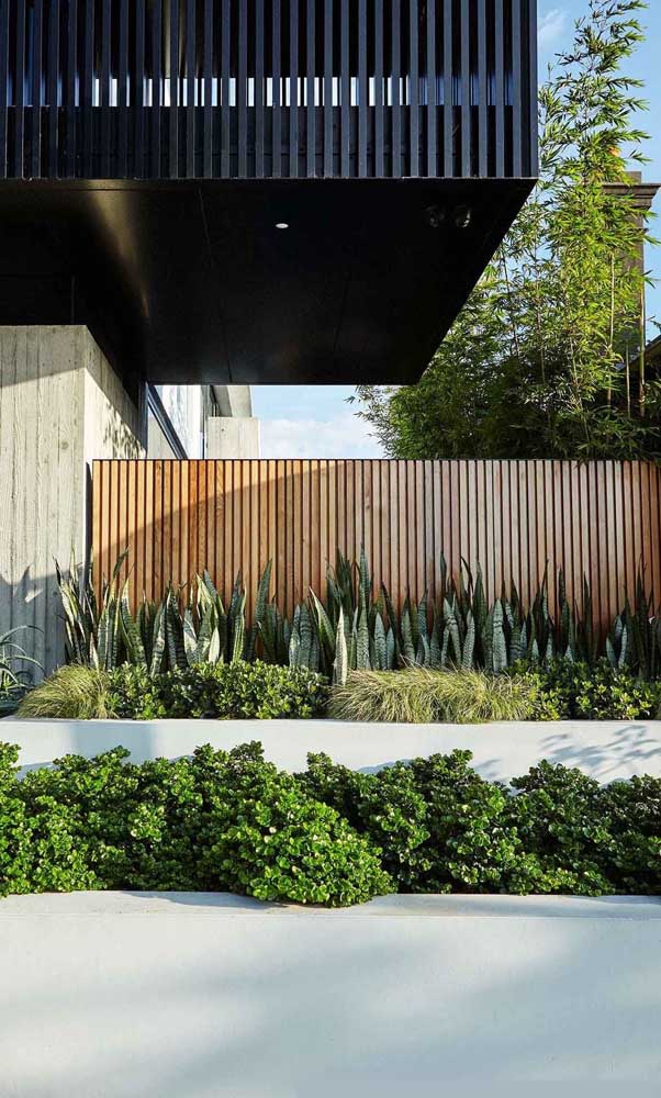 Ici, le design mural moderne comprend du bois et un parterre très vert