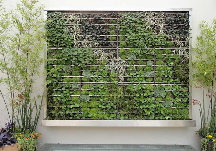 Mur avec jardin vertical: moderne et écologique 