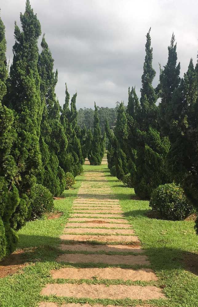 Jardin de style européen avec chemin Kaizukas, tout un charme!