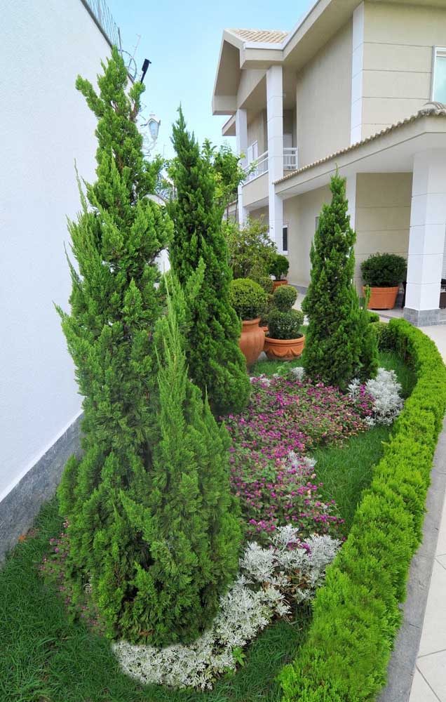 Jardin côté maison fait de Kaizukas et de fleurs moulues