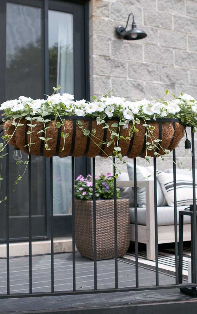 Porche d'appartement embelli par le jardinier fleuri des pétunias