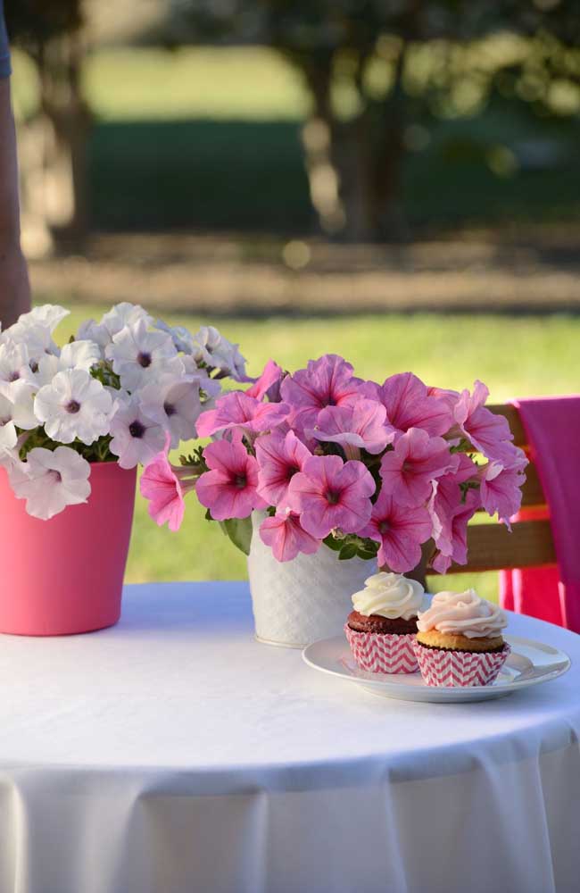 La délicatesse des pétunias se marie bien avec les décorations de fêtes romantiques 