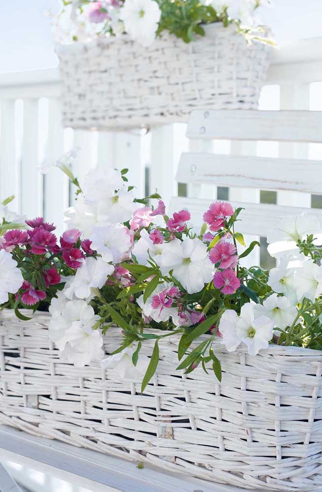 Dans cette délicate jardinière, poussent des pétunias et des œillets plantés de manière entrecoupée