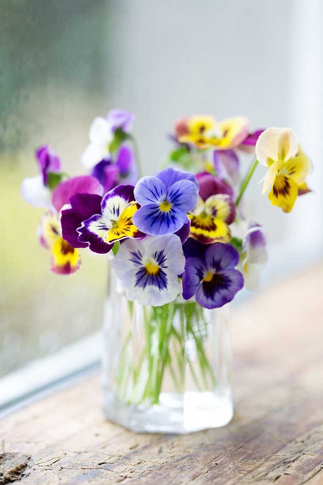 Arrangement délicat avec des pétunias de différentes couleurs, formant un véritable arc-en-ciel dans le vase