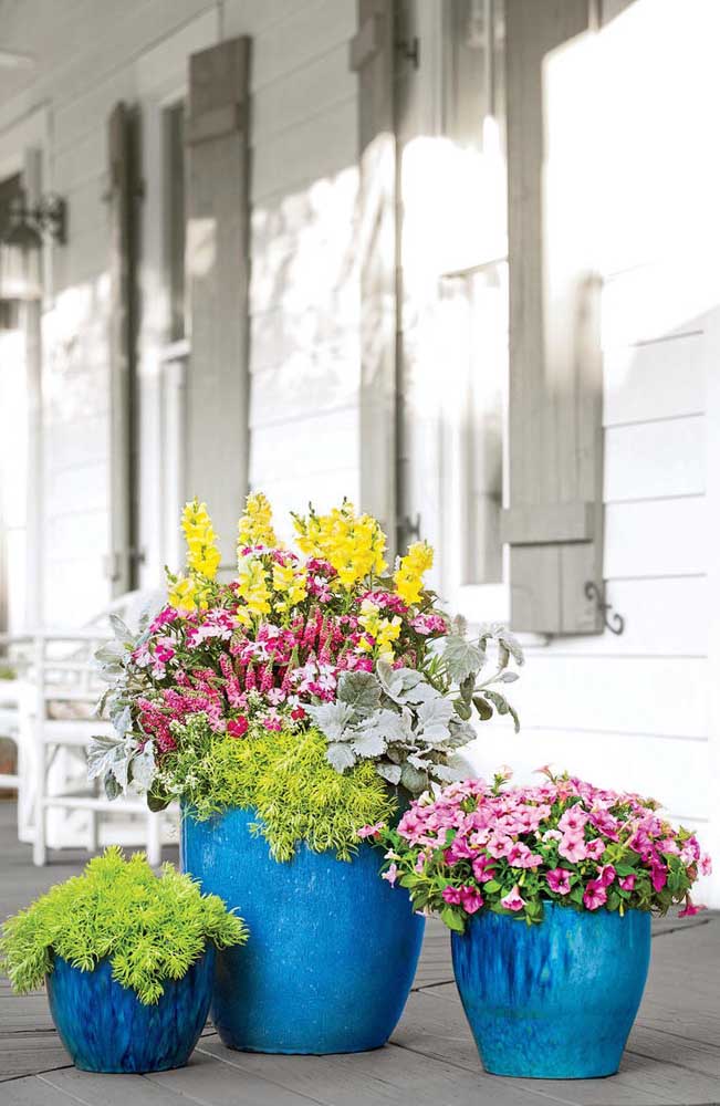 Vase bleu pour mettre en valeur le ton rose des fleurs de pétunia