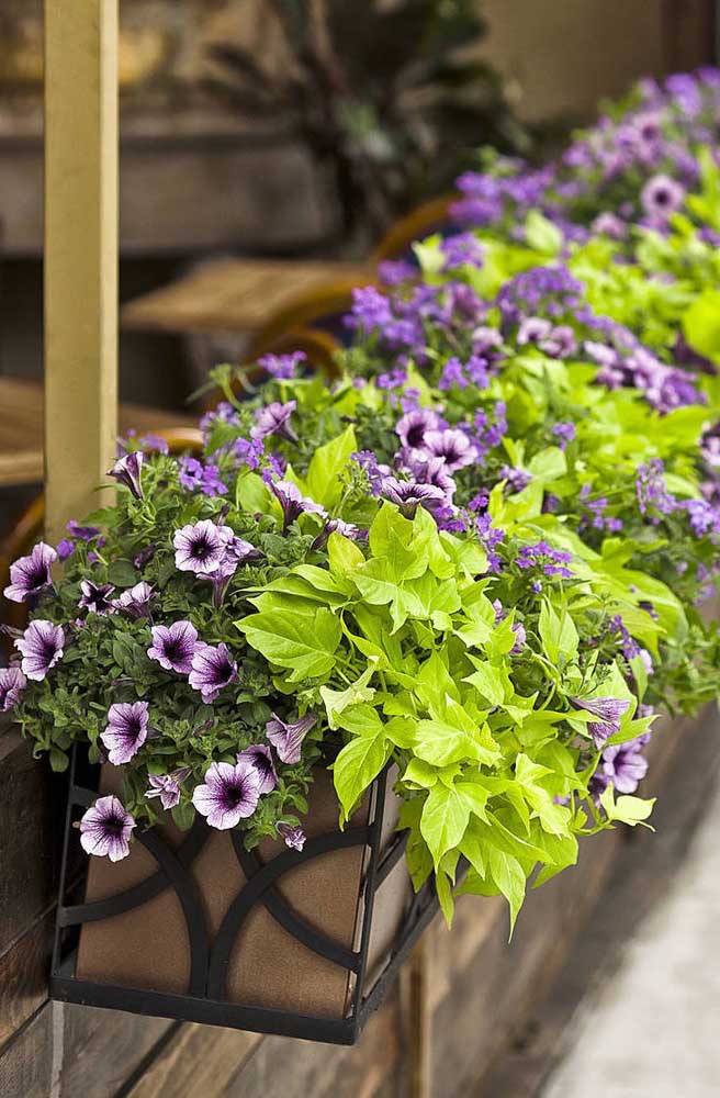 Salopette lilas pétunias doublée