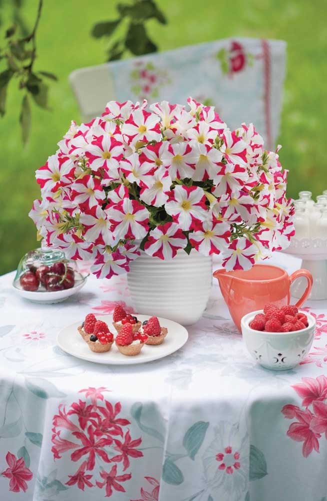 Quel beau vase de pétunia mélangé; remarquez même que les couleurs des fleurs correspondent à la nappe