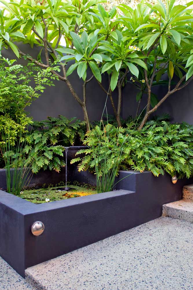 L'un des grands avantages du jardin Zen est qu'il n'impose pas de tailles ou de limites; ici, par exemple, le petit réservoir de maçonnerie est devenu 