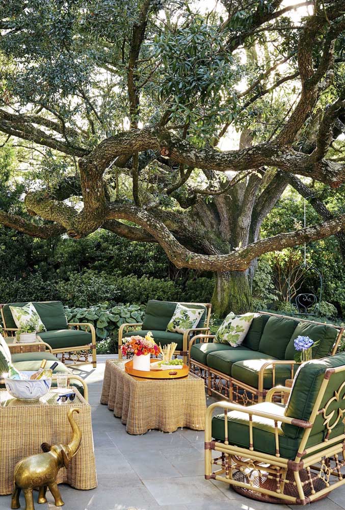 Dans ce jardin zen, l'accueil est devenu le point culminant; l'arbre intéressant à l'arrière est également un autre grand point d'attention