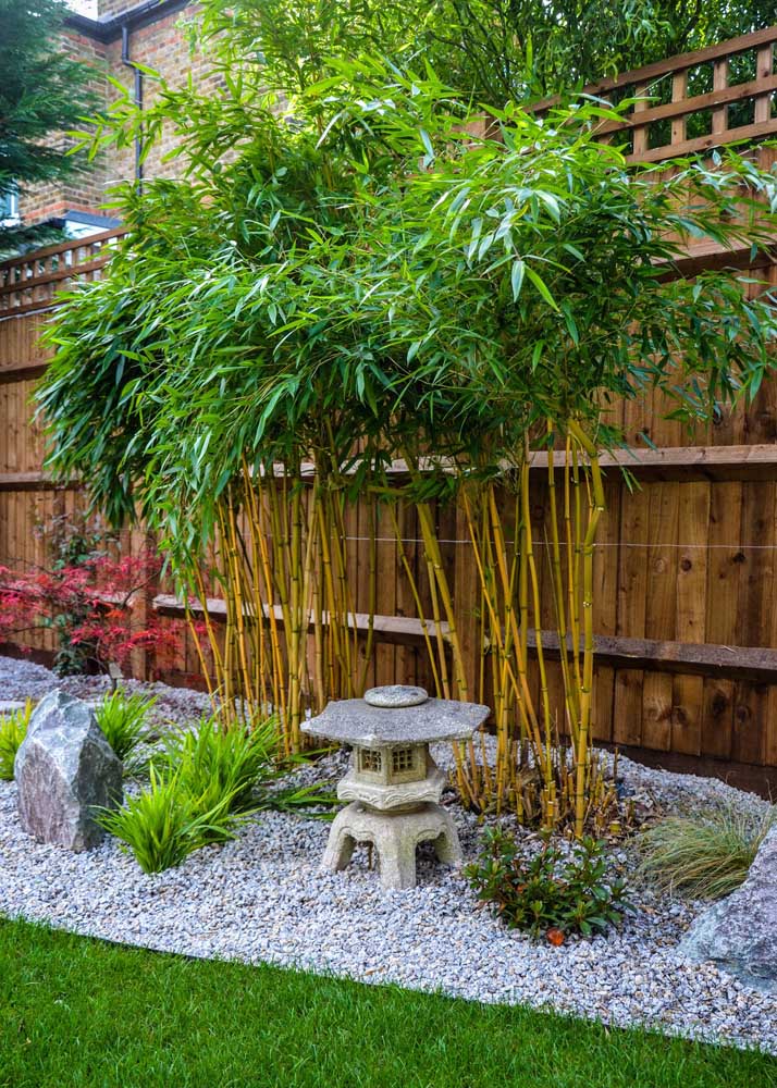 Bambous, pierres et réplique d'un temple bouddhiste: le jardin zen se forme