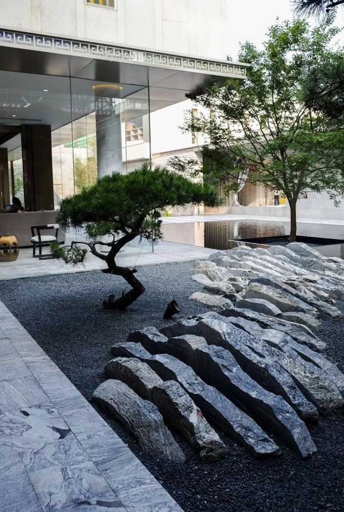 Belle composition de pierres dans ce jardin zen; mettre en évidence aussi pour le bonsaï