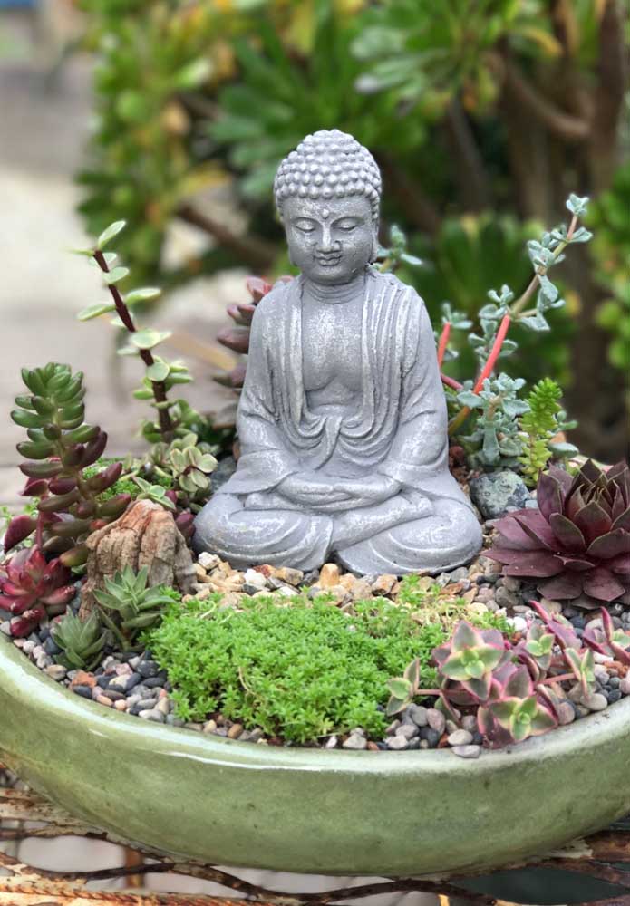 Jardin zen de pierres et plantes succulentes