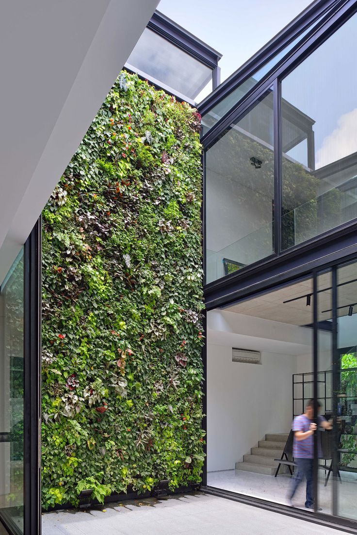 Jardin vertical à l'extérieur avec de petites plantes