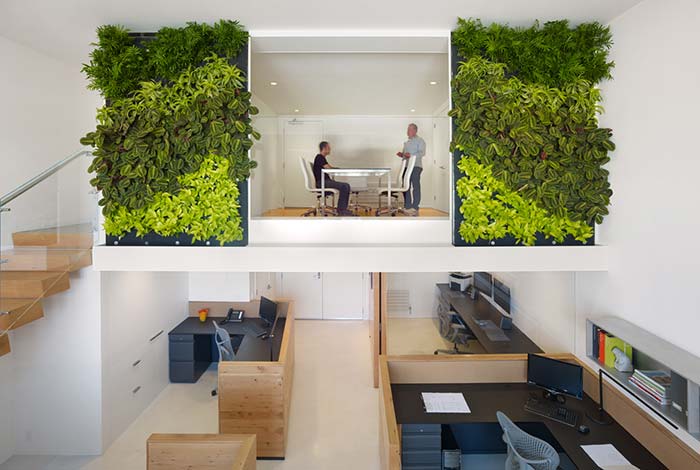 Jardin vertical en environnement d'entreprise