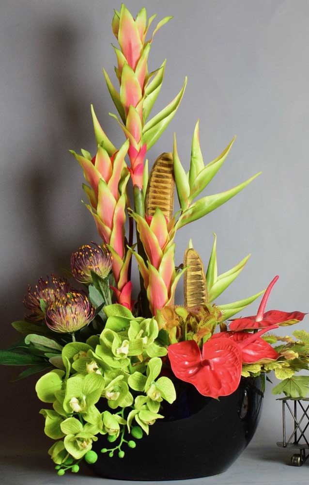 Arrangement différent et très particulier fait avec des plantes carnivores d'espèces différentes