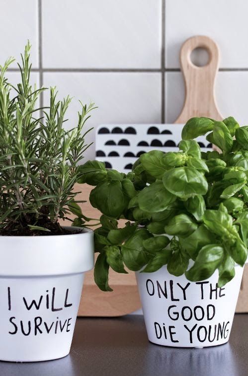 Vases avec des phrases de motivation