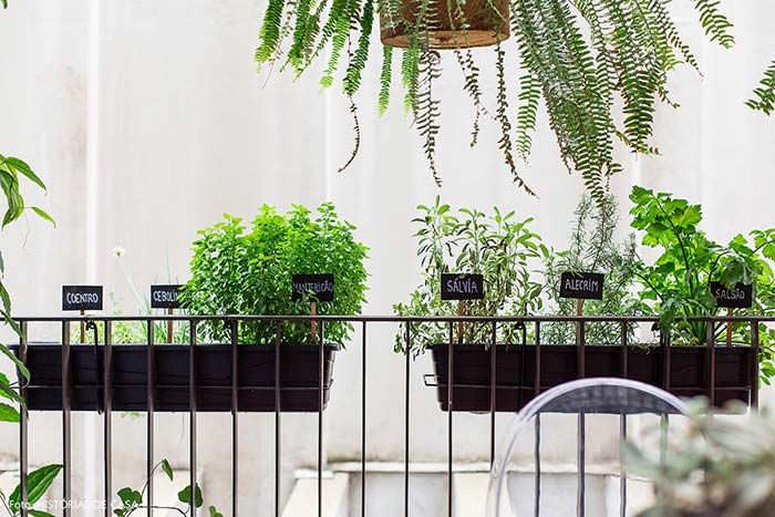 Potager fait maison avec des panneaux en bois